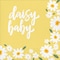 Creative Converting Sweet Daisy 'Daisy Baby' Napkins, 192PK 372466 - alternate 1